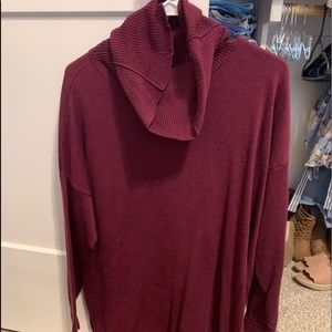 Turtle neck sweater dress